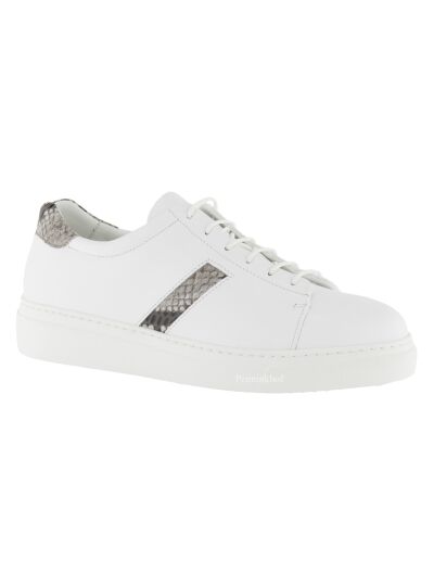 Panara Sneaker pietra NAP4484