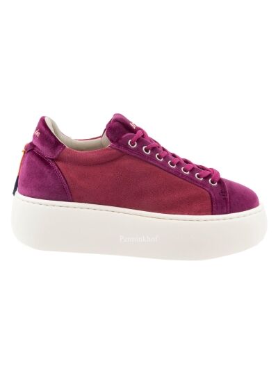 Barracuda Sneaker violet BD1343